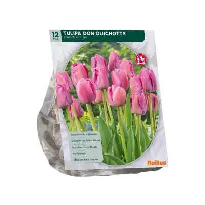 Tulipa Don Quichotte 12 stuks bloembollen Baltus bij Warentuin