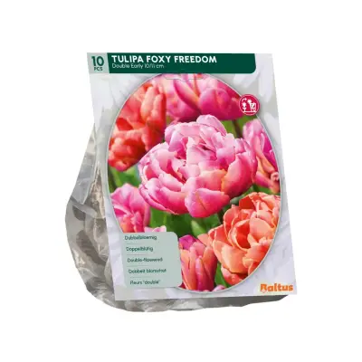 Tulipa Foxy Freedom 10 stuks bloembollen Baltus bij Warentuin