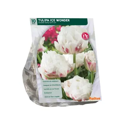 Tulipa Ice Wonder 10 stuks bloembollen Baltus bij Warentuin