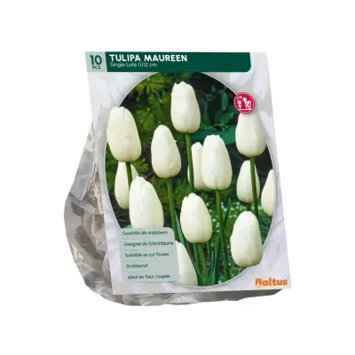 Tulipa Maureen 10 stuks bloembollen Baltus bij Warentuin