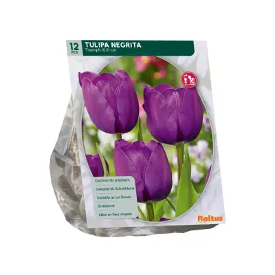 Tulipa Negrita 12 stuks bloembollen Baltus bij Warentuin