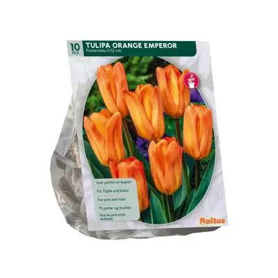 Tulipa Orange Emperor 10 stuks bloembollen Baltus bij Warentuin