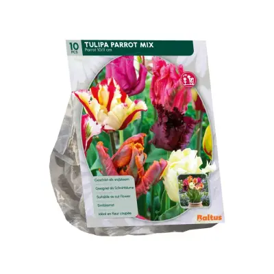 Tulipa Parkiet mix 10 stuks bloembollen Baltus bij Warentuin