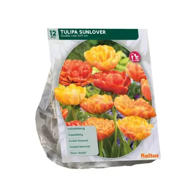 Tulipa Sunlover 12 stuks bloembollen Baltus bij Warentuin