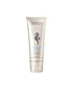 Vagheggi After Sun Shampoo Shower Gel 250 Ml bij Beautyfashionshop