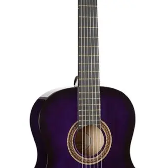 Valencia VC104PPS klassieke gitaar bij De Krijger Muziek