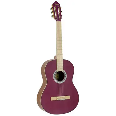Valencia VC354PP Klassieke gitaar 4/4 bij Westerhaven Muziek (Groningen)