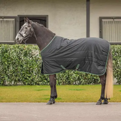 Velder Horsewear Premium Staldeken 210D 100g Zwart bij Agradi