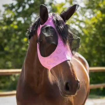 Vliegenmasker QHP Collection Cheery pink bij Equidrome