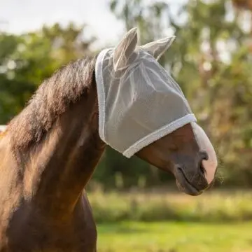 Vliegenmasker QHP met oren Grijs Mini Shetland bij Equidrome