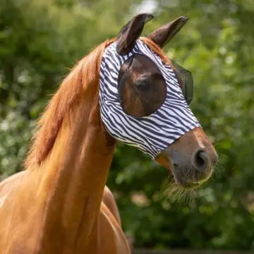 Vliegenmasker QHP Super bug Zebra bij Equidrome