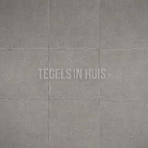 Vloertegel – Wandtegel Delta grijs 60,8×60,8 R9 bij Tegels in Huis