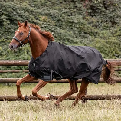 Waldhausen Outdoordeken Nordic 100g Zwart bij Agradi