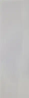 Wandtegels Cerim White Glossy 32x96 bij Tegelsonline