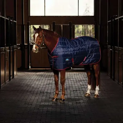 WeatherBeeta Staldeken ComFiTec 210D Channel Quilt Standard Neck 100g Navy/Burgundy bij Agradi