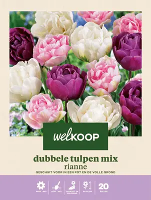 Welkoop Dubbele Tulpen mix Rianne - Bloembollen bij Welkoop