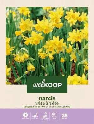 Welkoop Narcis Botanisch Tete-a-Tete - Bloembollen bij Welkoop