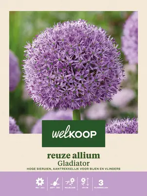 Welkoop Reuze Allium Rosie - Bloembollen bij Welkoop