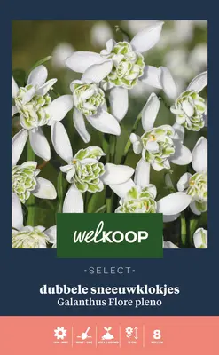 Welkoop Select Dubbele Sneeuwklokjes Galanthus Flore Pleno - Bloembollen bij Welkoop
