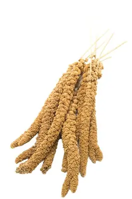 Welkoop Trosgierst - Vogelvoer - 0.2 Kilogram bij Welkoop