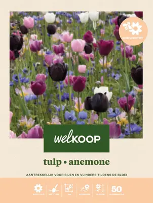 Welkoop Tulp Anemone Biodiversiteit - Bloembollen bij Welkoop