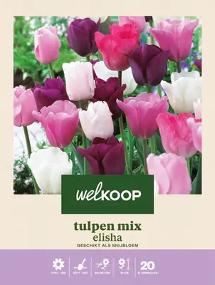 Welkoop Tulpen mix Elisha - Bloembollen bij Welkoop