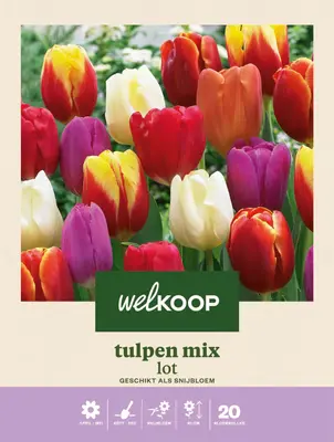 Welkoop Tulpen mix Lot - Bloembollen bij Welkoop