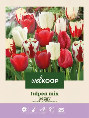 Welkoop Tulpen mix Peggy - Bloembollen bij Welkoop