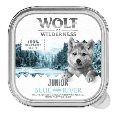 Wolf of Wilderness Junior - Duo-eiwit recept 6 / 24 x 150 g 6 x 150 g Blue River - Kip & Zalm bij Zooplus