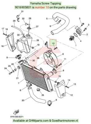 Yamaha Schroeven Tappen 901690580100 bij Goedhart Motoren