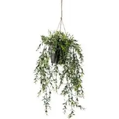 Zijdeplant Hangplant met pot Buxus kunstplant Driesprong Collection bij Warentuin