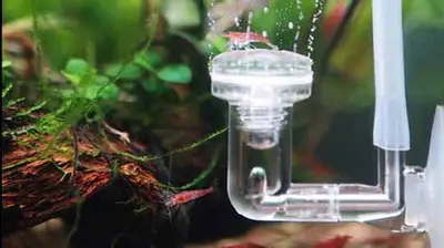 Ziss ZD-200 Co2 diffuser bij ShrimpMania Soest